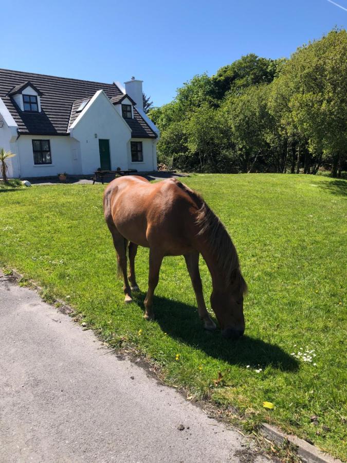 House With Sea Views Close To Beach With Wifi And Large Kitchen And Dining Ardnagreevagh Exterior photo